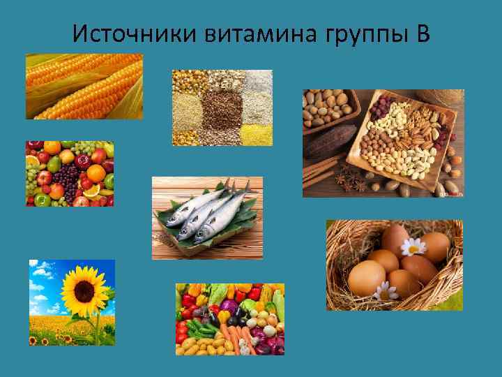 Источники витамина группы В 