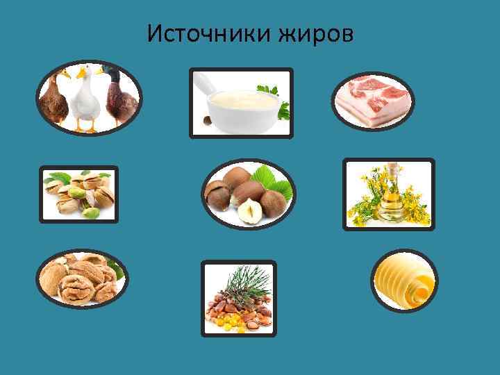 Источники жиров 