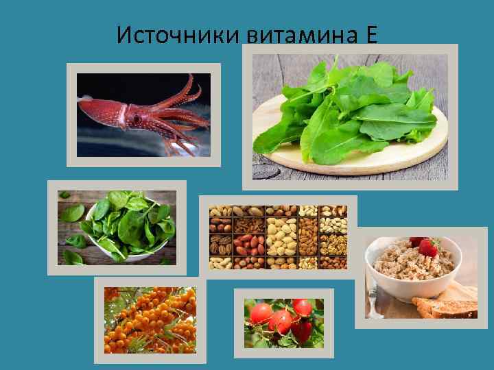 Источники витамина Е 