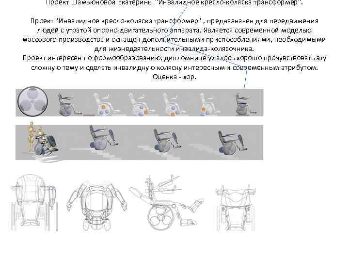  Проект Шамьюновой Екатерины 