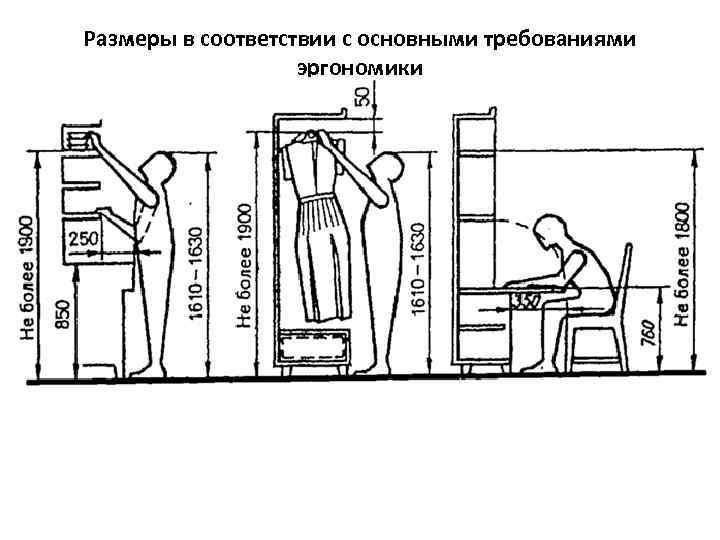 Размеры в соответствии с основными требованиями    эргономики 