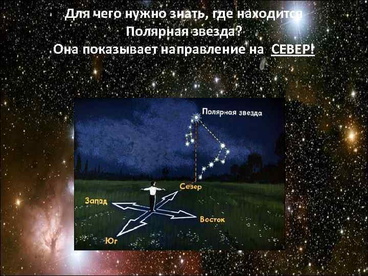 Для чего нужно знать, где находится Полярная звезда? Она показывает направление на Для чего нужно знать, где находится Полярная звезда? Она показывает направление на