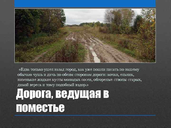  «Едва только ушел назад город, как уже пошли писать по нашему обычаю чушь