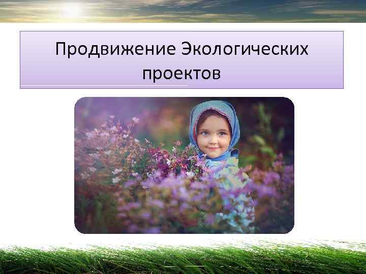 Продвижение Экологических   проектов 