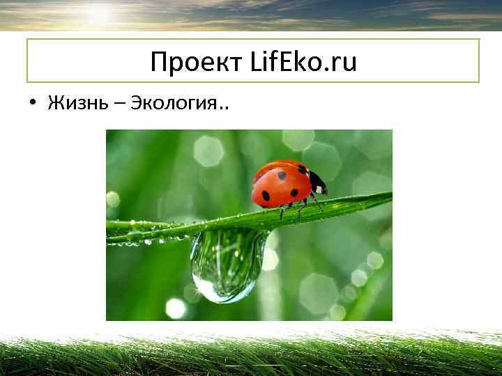   Проект Lif. Eko. ru • Жизнь – Экология. . 