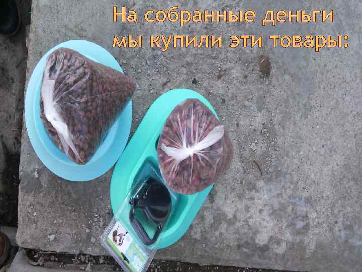 На собранные деньги мы купили эти товары: 