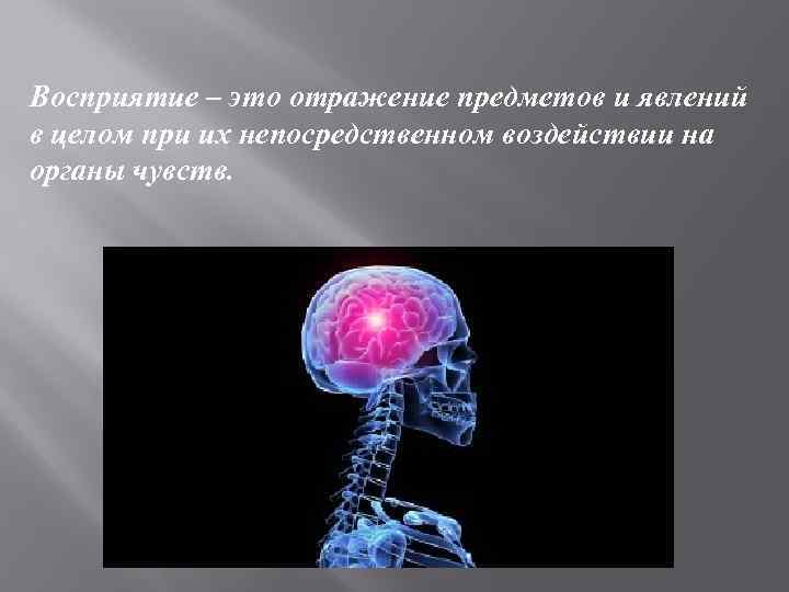 Восприятие – это отражение предметов и явлений в целом при их непосредственном воздействии на