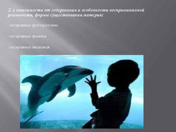 2. в зависимости от содержания и особенности воспринимаемой реальности, формы существования материи:  ·