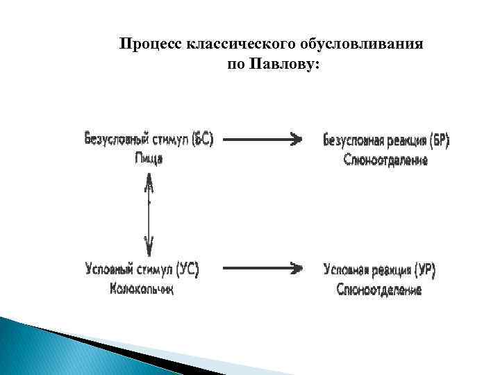 Схема классического обусловливания принадлежит