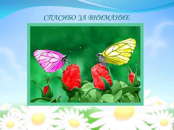 СПАСИБО ЗА ВНИМАНИЕ 