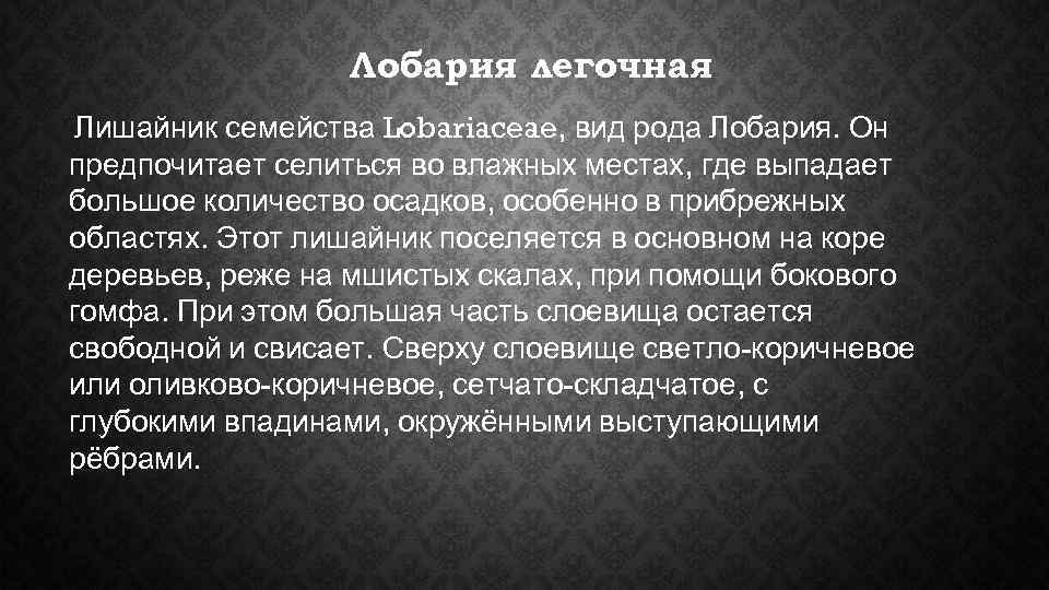    Лобария легочная Лишайник семейства Lobariaceae, вид рода Лобария. Он предпочитает селиться