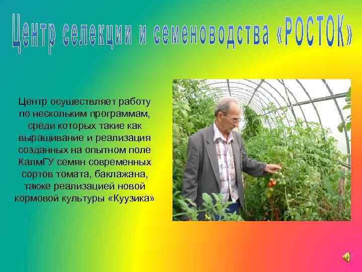  Центр осуществляет работу по нескольким программам, среди которых такие как выращивание и реализация