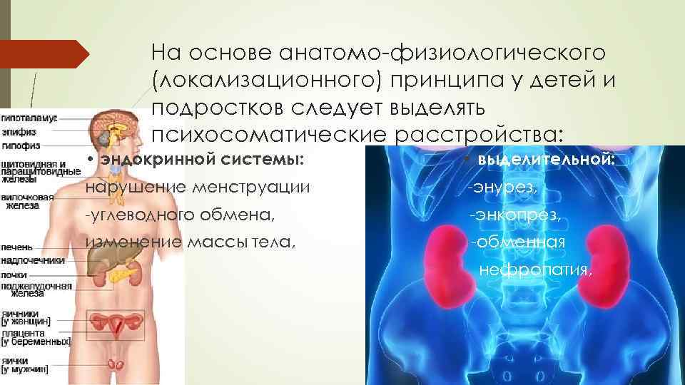  На основе анатомо физиологического  (локализационного) принципа у детей и  подростков следует