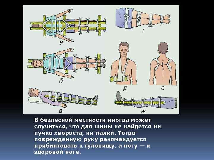 В безлесной местности иногда может случиться, что для шины не найдется ни пучка хвороста,
