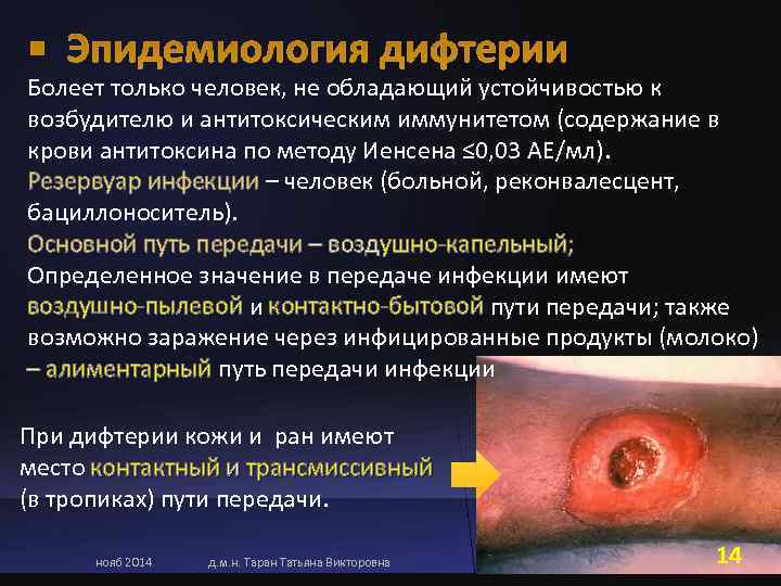 Болеет только человек, не обладающий устойчивостью к возбудителю и антитоксическим иммунитетом (содержание в крови