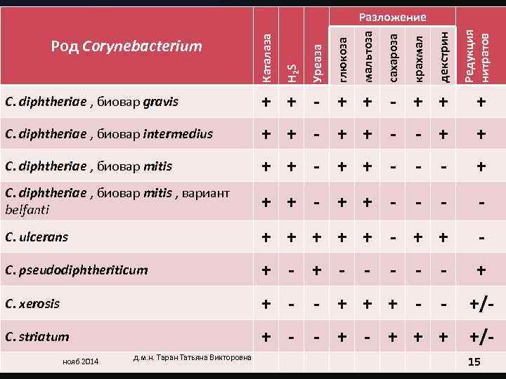         Разложение     