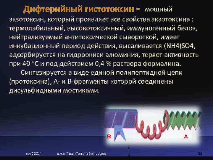     мощный экзотоксин, который проявляет все свойства экзотоксина :  термолабильный,