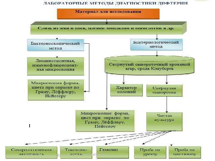 нояб 2014  д. м. н. Таран Татьяна Викторовна    37 