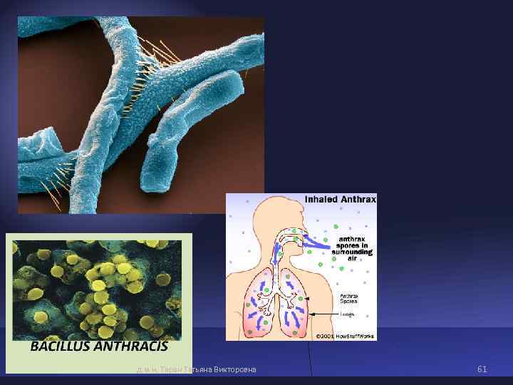 дек 2014 д. м. н. Таран Татьяна Викторовна 61 дек 2014 д. м. н. Таран Татьяна Викторовна 61