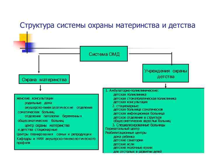 Презентация социальная защита материнства и детства