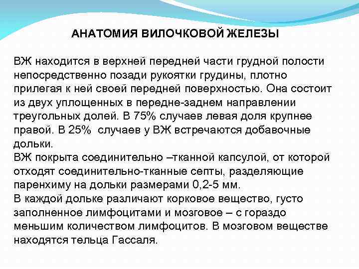 АНАТОМИЯ ВИЛОЧКОВОЙ ЖЕЛЕЗЫ ВЖ находится в верхней передней части грудной полости АНАТОМИЯ ВИЛОЧКОВОЙ ЖЕЛЕЗЫ ВЖ находится в верхней передней части грудной полости
