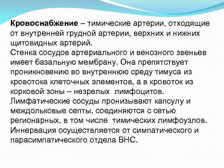 Кровоснабжение – тимические артерии, отходящие от внутренней грудной артерии, верхних и нижних щитовидных артерий. Кровоснабжение – тимические артерии, отходящие от внутренней грудной артерии, верхних и нижних щитовидных артерий.