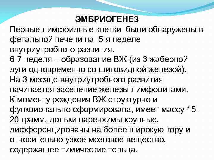 ЭМБРИОГЕНЕЗ Первые лимфоидные клетки были обнаружены в фетальной печени на ЭМБРИОГЕНЕЗ Первые лимфоидные клетки были обнаружены в фетальной печени на
