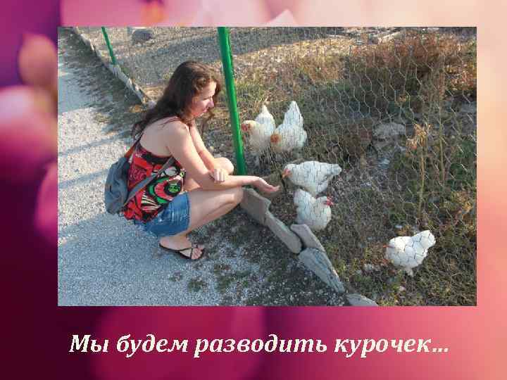 Мы будем разводить курочек… 