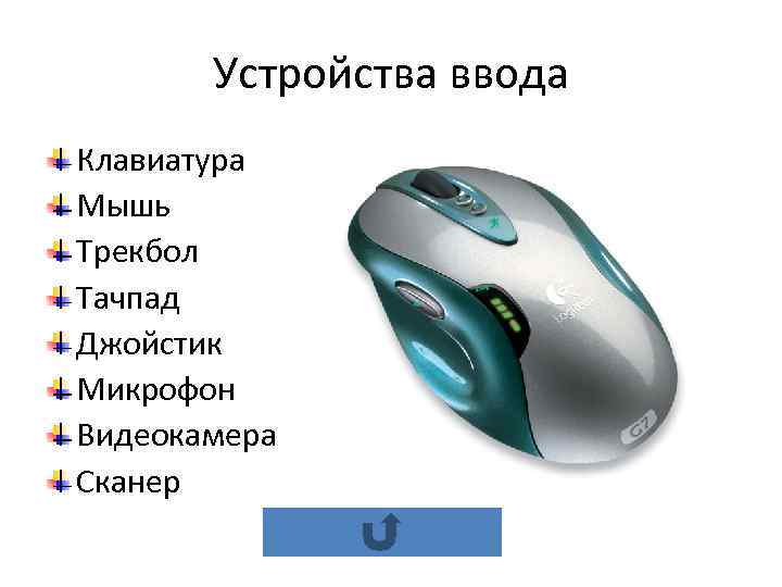   Устройства ввода Клавиатура Мышь Трекбол Тачпад Джойстик Микрофон Видеокамера Сканер 