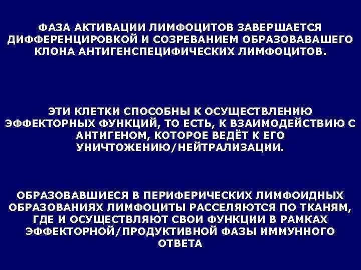   ФАЗА АКТИВАЦИИ ЛИМФОЦИТОВ ЗАВЕРШАЕТСЯ ДИФФЕРЕНЦИРОВКОЙ И СОЗРЕВАНИЕМ ОБРАЗОВАВАШЕГО  КЛОНА АНТИГЕНСПЕЦИФИЧЕСКИХ ЛИМФОЦИТОВ.
