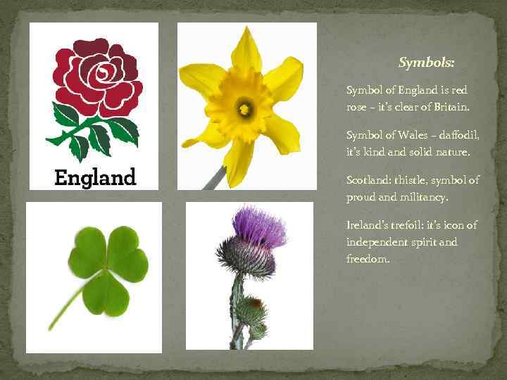   Symbols: Symbol of England is red rose – it’s clear of Britain.