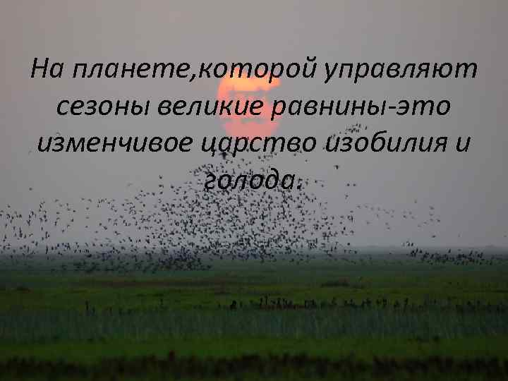 На планете, которой управляют сезоны великие равнины-это изменчивое царство изобилия и  голода. 