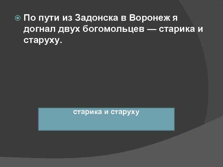  По пути из Задонска в Воронеж я догнал двух богомольцев — старика