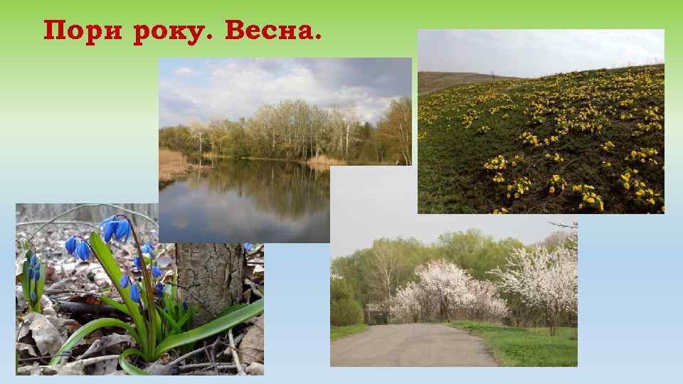 Пори року. Весна. 