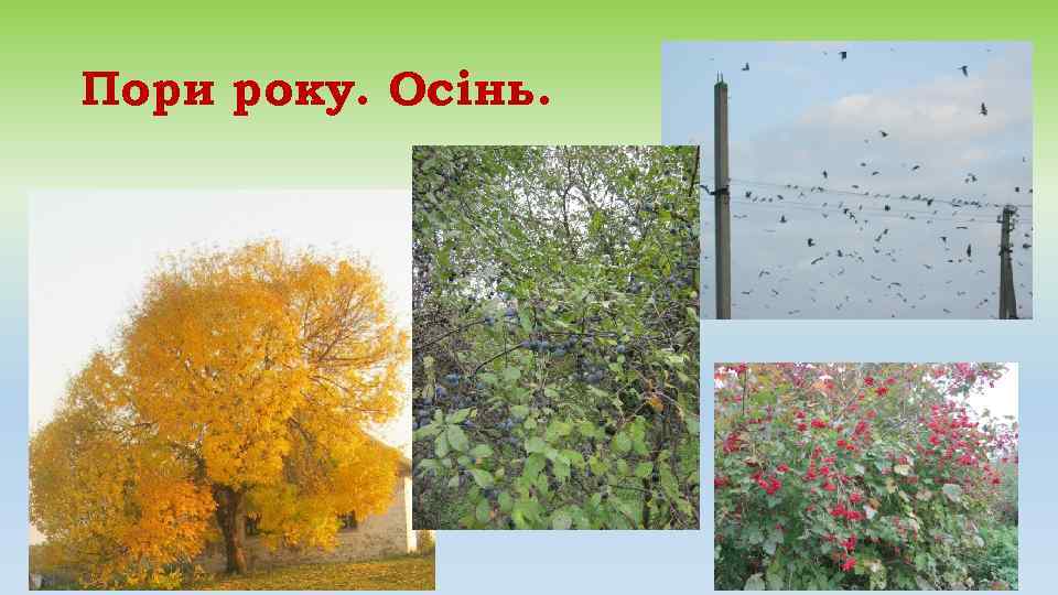 Пори року. Осінь. 