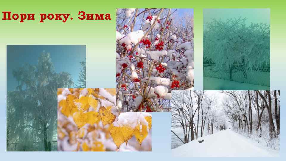 Пори року. Зима   . 