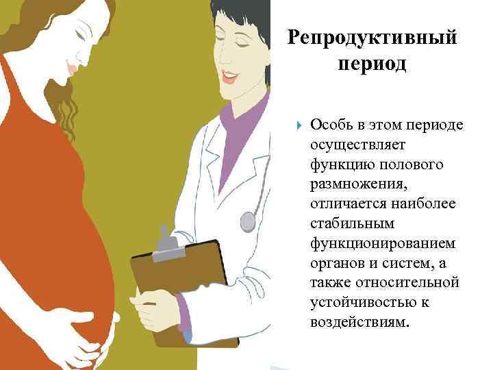 Репродуктивный период Особь в этом периоде осуществляет функцию полового размножения,  отличается наиболее стабильным