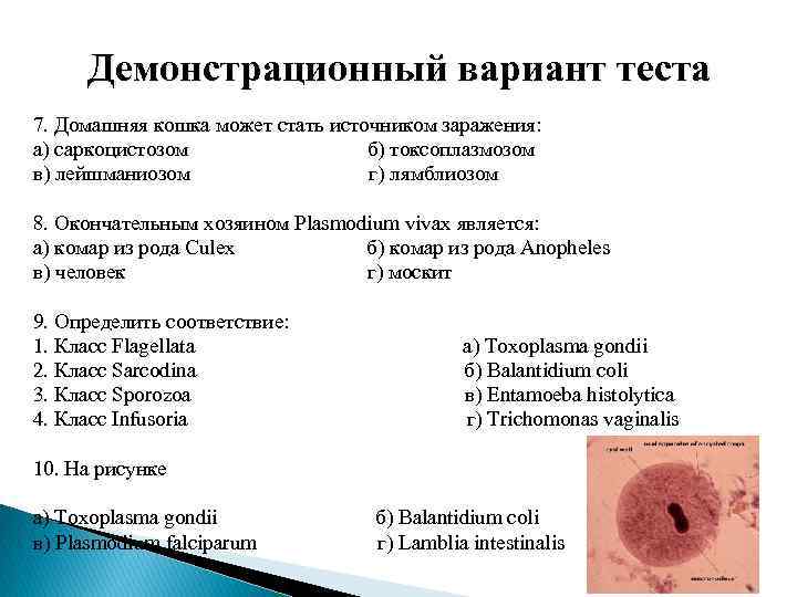    Демонстрационный вариант теста 7. Домашняя кошка может стать источником заражения: а)