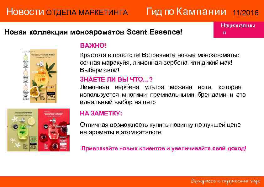 Новости ОТДЕЛА МАРКЕТИНГА   Гид по Кампании   11/2016   