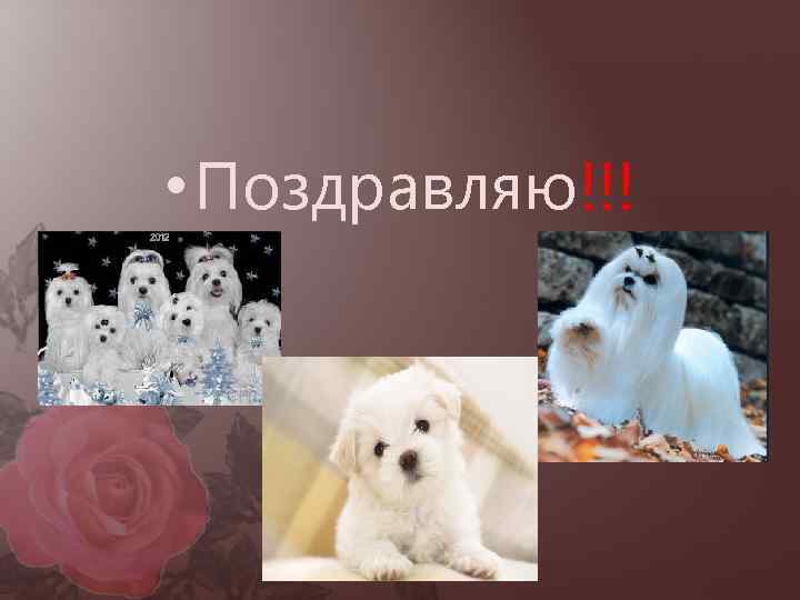  • Поздравляю!!! 