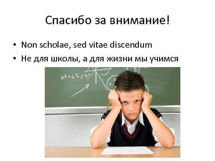 Non scholae. Non Scholae sed vitae. Non Scholae sed vitae discimus стенд. Non Scholae sed vitae discimus ВШЭ тетрадь. ￼ non Scholae sed vitae транскрипция.