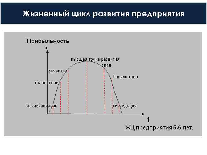 Жизненный цикл развития предприятия 