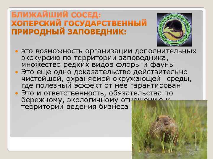 это возможность организации дополнительных экскурсию по территории заповедника, множество редких видов это возможность организации дополнительных экскурсию по территории заповедника, множество редких видов