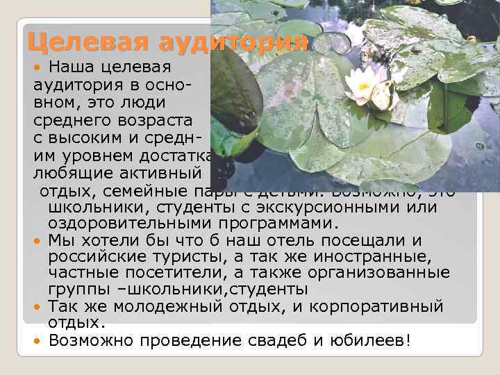 Целевая аудитория Наша целевая аудитория в осно- вном, это люди среднего возраста с Целевая аудитория Наша целевая аудитория в осно- вном, это люди среднего возраста с