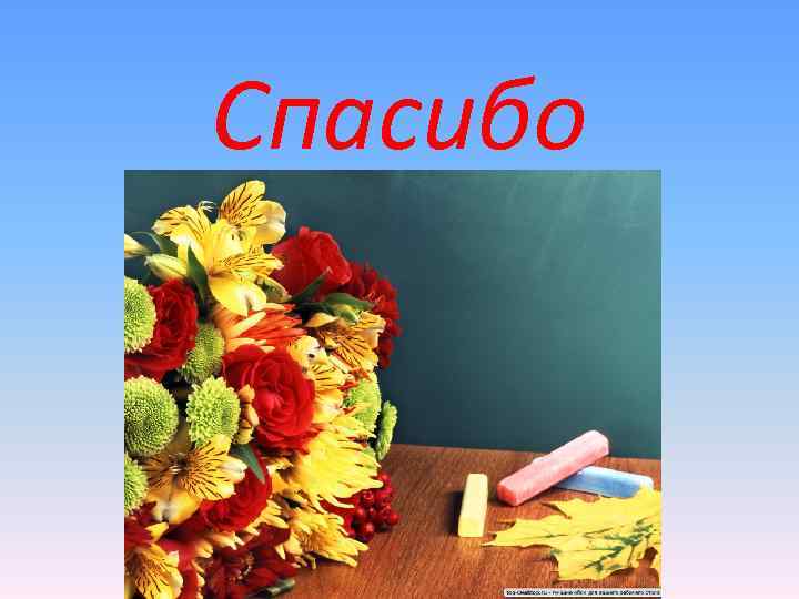 Спасибо Спасибо