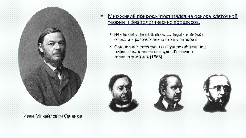       • Мир живой природы постигался на основе клеточной