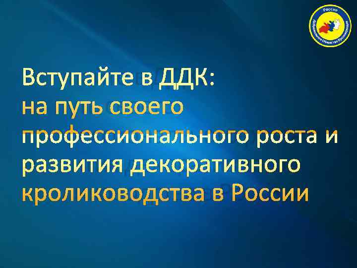 Вступайте в ДДК: на путь своего профессионального роста и развития декоративного кролиководства в России