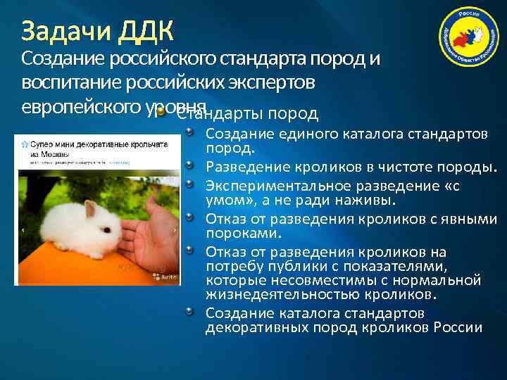 Задачи ДДК Создание российского стандарта пород и воспитание российских экспертов европейского уровня  
