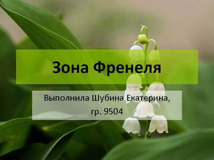  Зона Френеля Выполнила Шубина Екатерина,  гр. 9504 