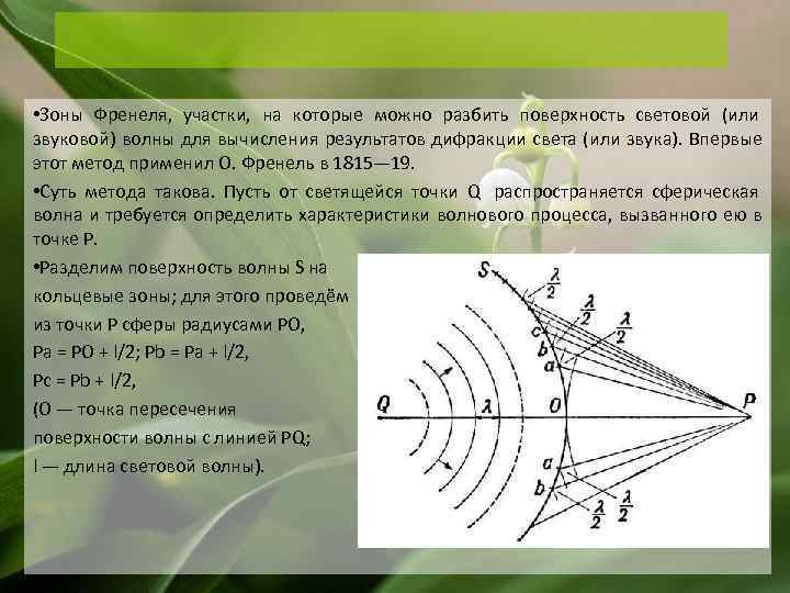 Френель зоны. 8 Зон Френеля. Радиус зоны Френеля для сферической волны. Зоны Френеля на поверхности плоскости. Равенство площадей зон Френеля.